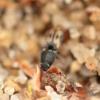 297225 – Photo : Mathurin CARNET – France (58)